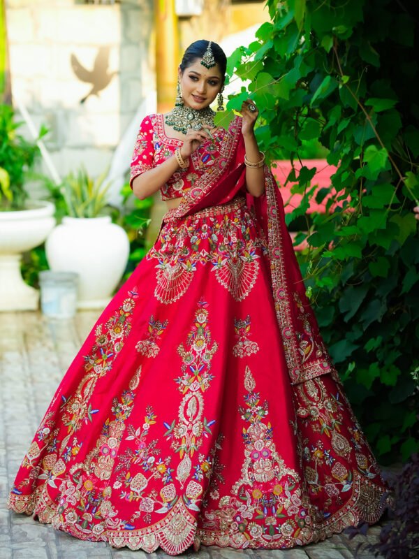 RaniSa Net Zari Embroidery Ghagra