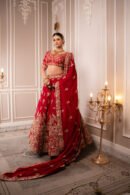 Rajwadi Crimson Architectural Zardozi Lehenga Set